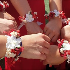 Pulseritas