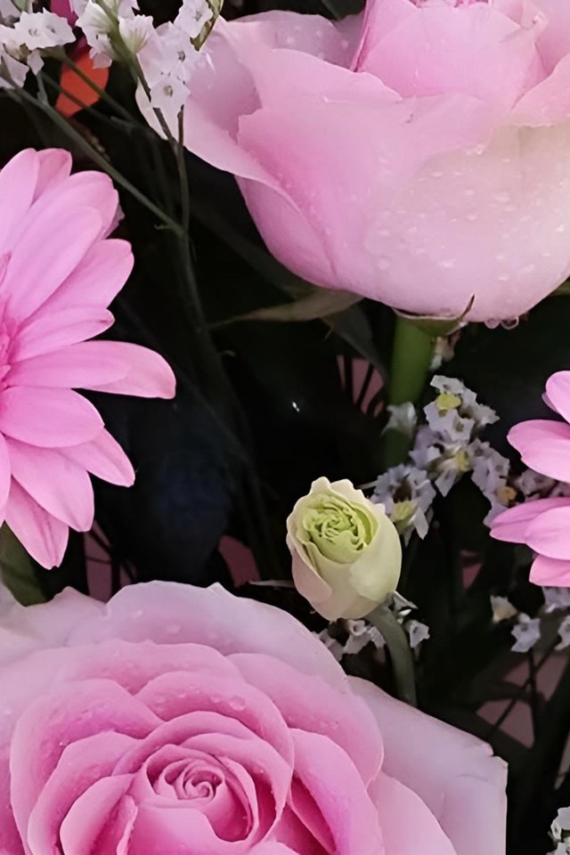 Tenemos la mayor selección de flores y plantas en Moaña